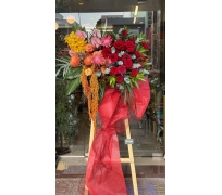 KỆ CHÚC MỪNG 17