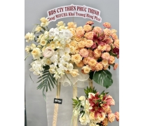 KỆ CHÚC MỪNG 01