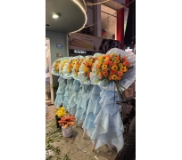 KỆ CHÚC MỪNG 19